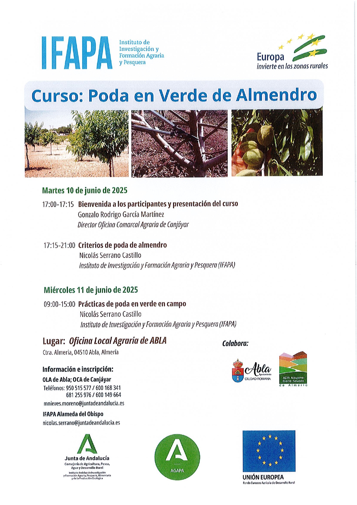 Curso: Poda en Verde de Almendro