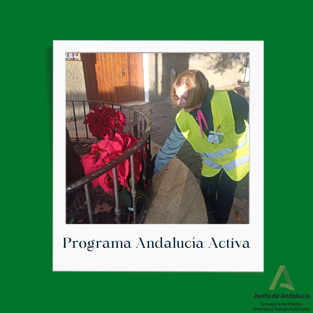 PROGRAMA ANDALUCÍA ACTIVA